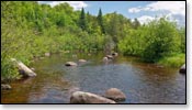 Wolf River Image