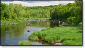 Wolf River Image