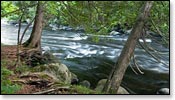 Wolf River Image