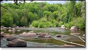 Wolf River Image