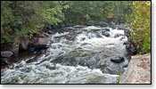 Wolf River Image