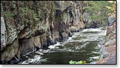 Wolf River Image
