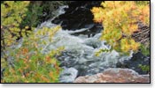 Wolf River Image