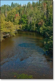 The Brule River