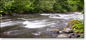 Bois Brule River